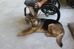 18880206_1412344588844600_5117678271804021977_o