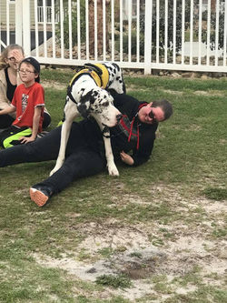 18119287_10212298007107394_5788135657027030849_n