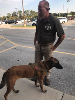 21106791_1471768852910116_3416260245968914532_n