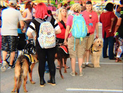 18947296_10212667817872432_8252249_o