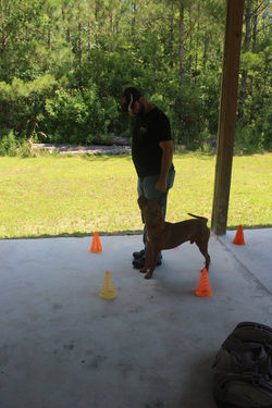 18880329_1412343232178069_8182019486350982182_o