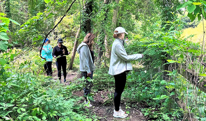nature walk and craft severna park annap