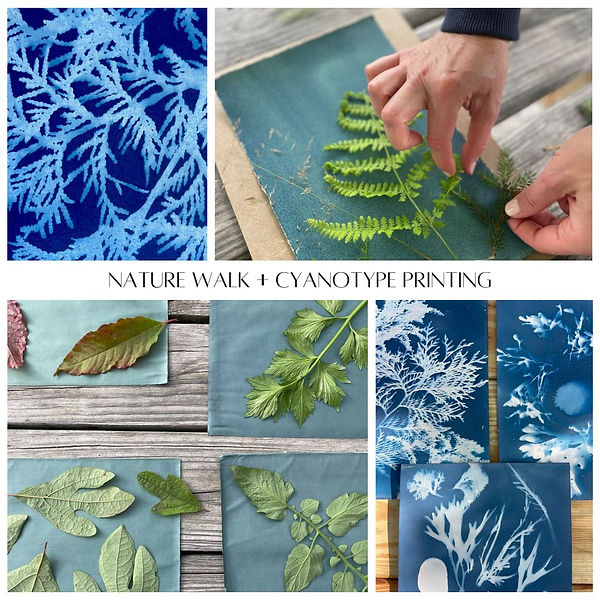 nature walk cyanotype sun print class annapolis maryland