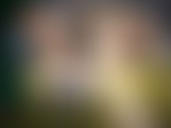 Football Commercialisation Pressure: coach, parents, agent pushing early success