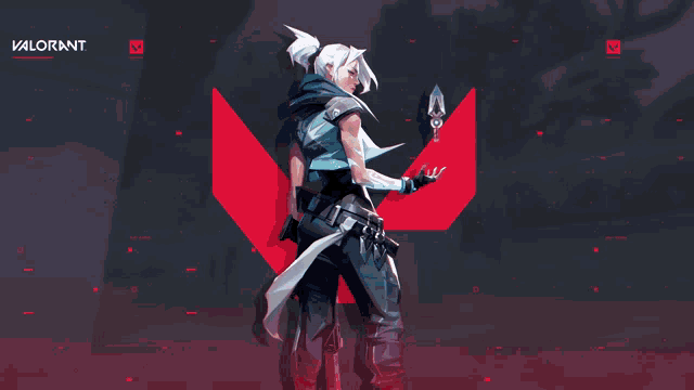 VALORANT