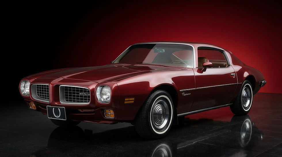 Mobile detailing to prevent scratches 1973 Firebird