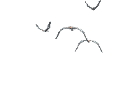 1400197_ea244.gif