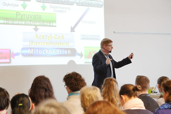 Nelson aula3.jpeg