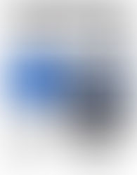 Toronto Marlies 2019