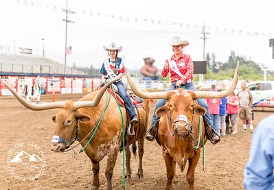 Longhorns.webp
