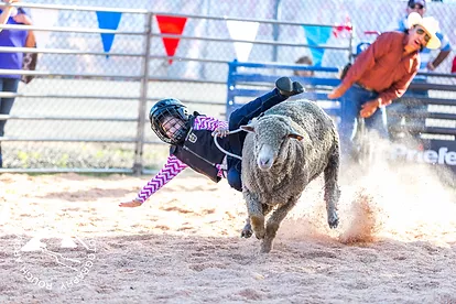 Mutton Bustin.webp