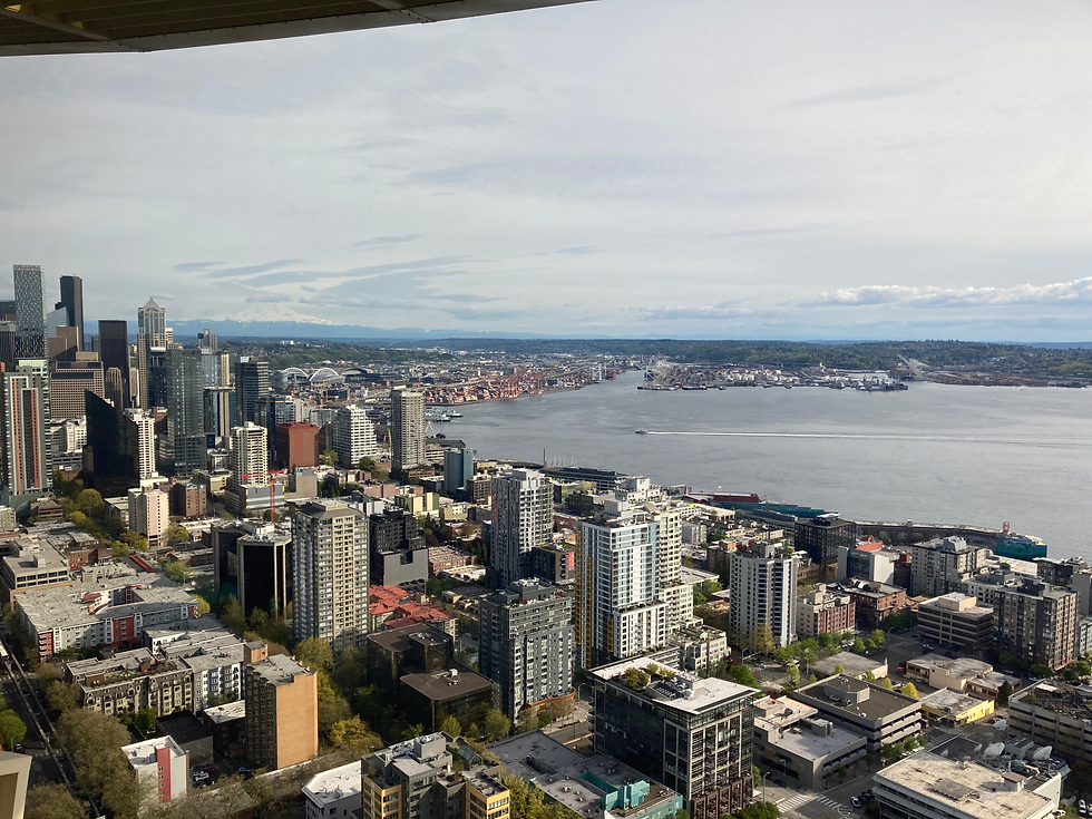Downtown Seattle viewed from the Space Needle