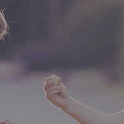 Home | LIFE Skills Emergence System