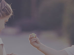 Our partner project has been accepted!