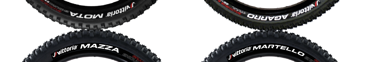 EWS Banner Proposal.gif