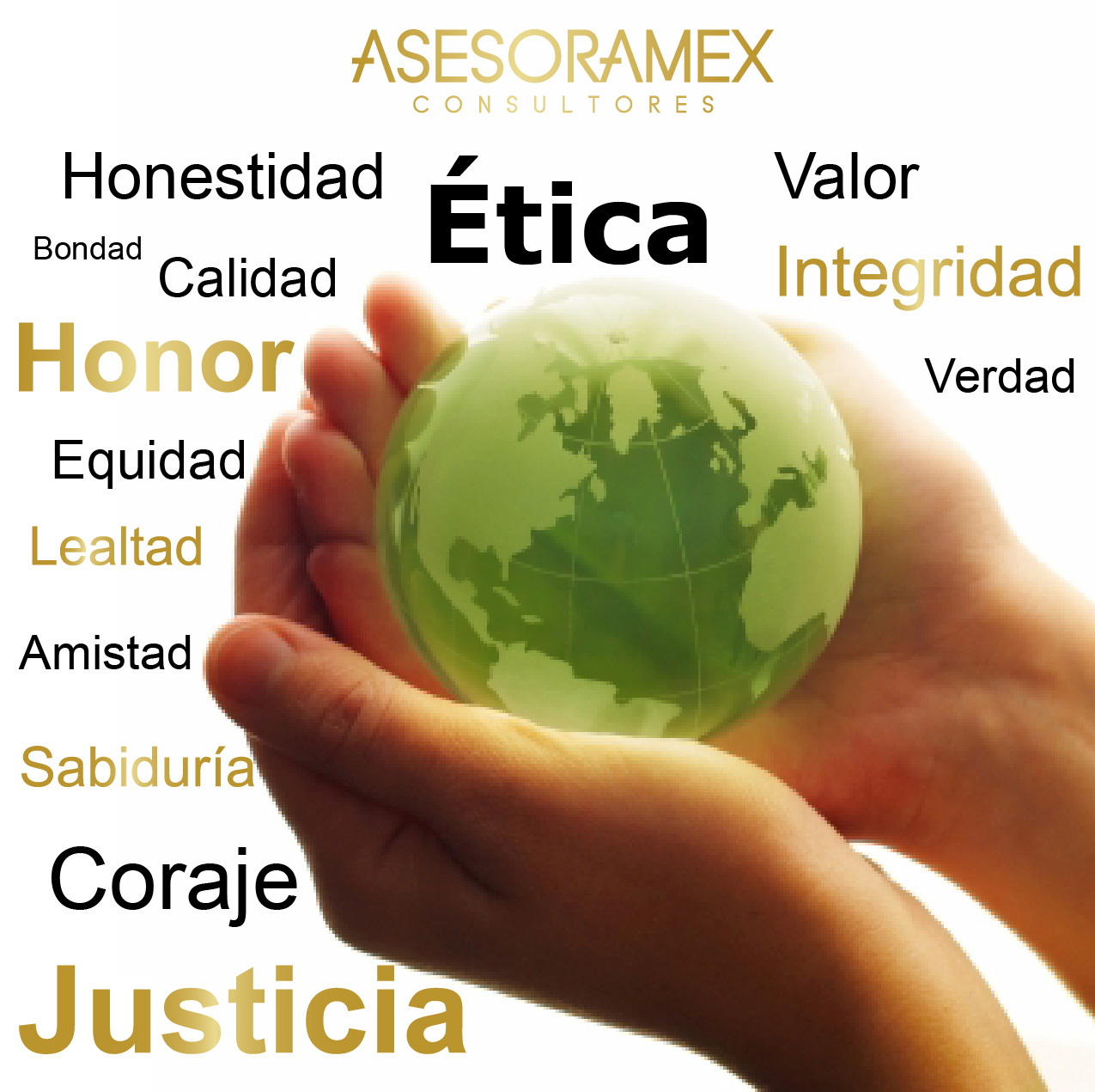 porque es importante la amistad en la sociedad