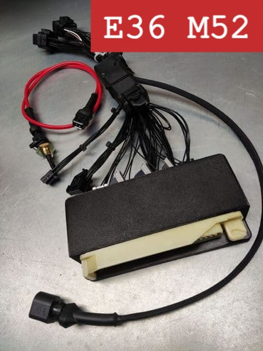 M52 実使用品 E36 M52 OEM Harness to LINK XtremeX Adapter | 