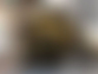 Upgraded BMW Oil Pump Install!