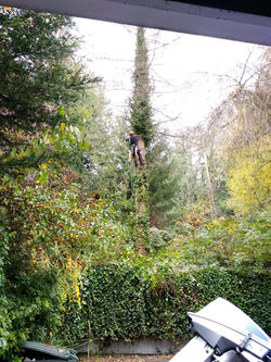 FB_IMG_1550292738247