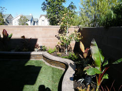 raised planter, natural stone fascia