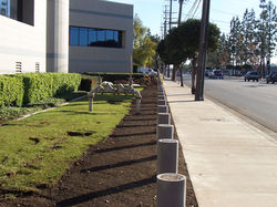 Crash bollards Orange police station