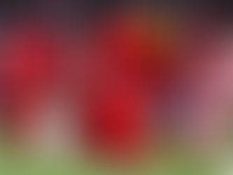 College Football - Week 4