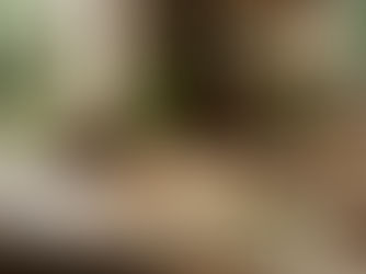 Posso perguntar sobre outra pessoa no tarot? Entenda a ética e os limites das cartas
