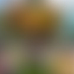 Posing at Jogyesa Temple