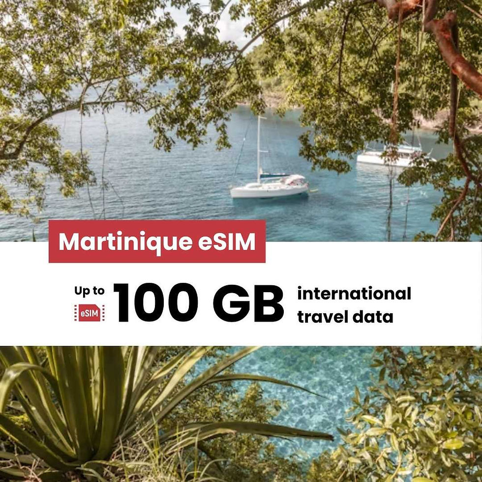 Martinique eSIM