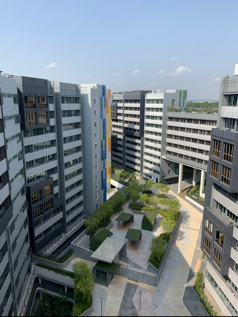 Surviving Campus Accommodation / Housing when Studying Abroad 🏡