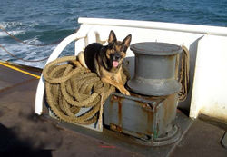 The Ferry to Bridgeport