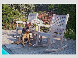 Esther and the Teak Chairs