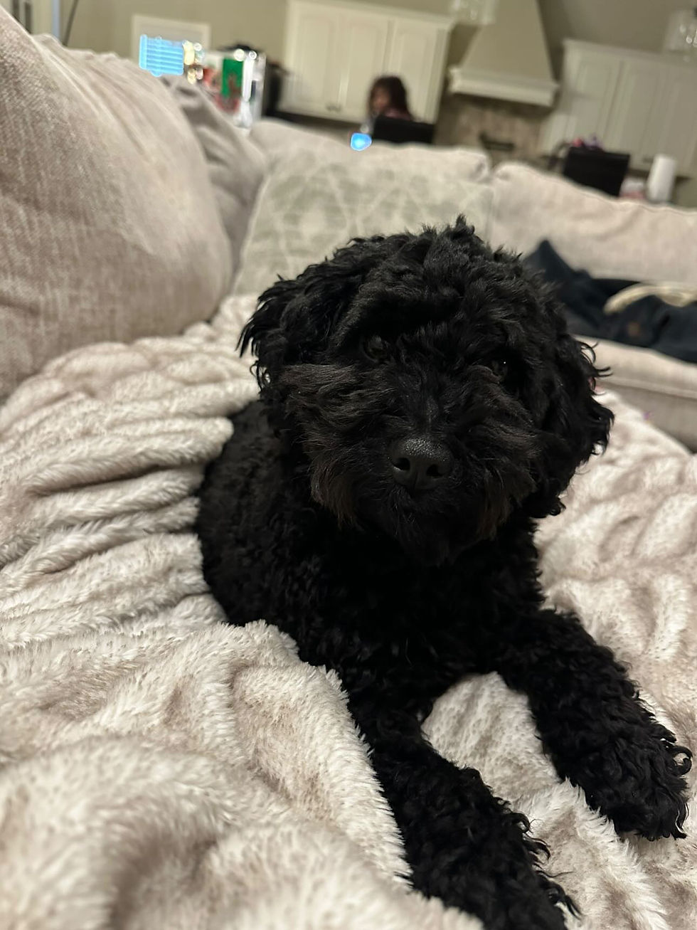 6555F4A4-1C31-4315-95EB-E13BA389396C