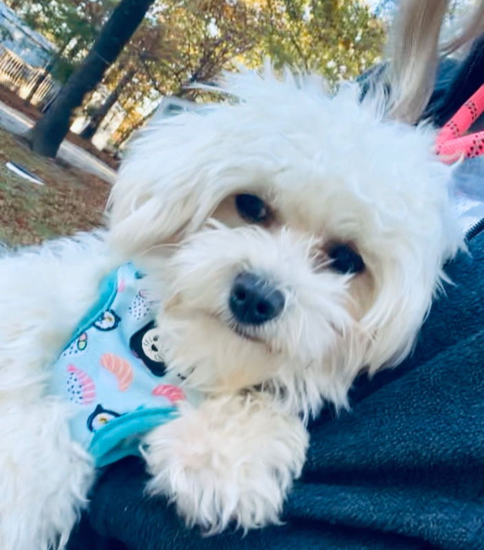 IMG_2266_edited_edited