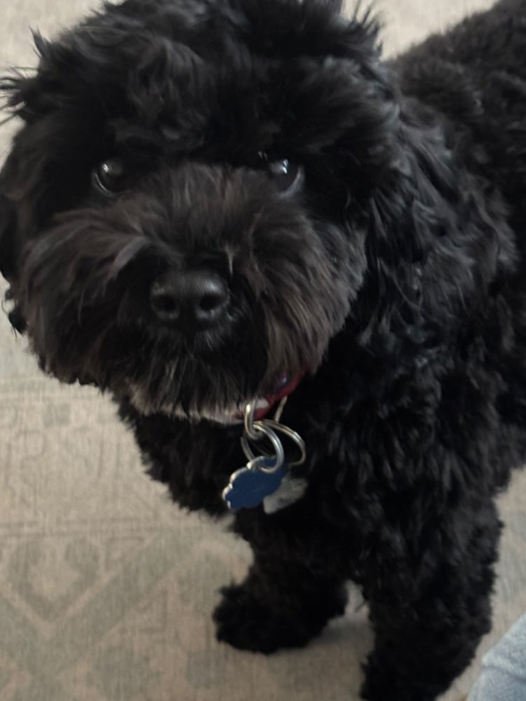 EB28A5C2-4249-4297-9E73-9F023874CCEB