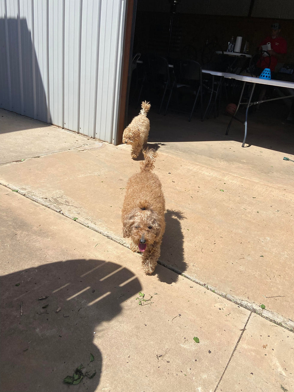 13bbaf697c7e9d420a63ba2e6d5c3547