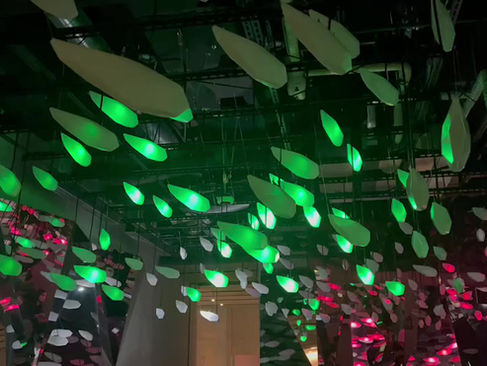 魚群型照明のディスプレイを作成させていただきました。