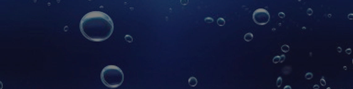 The Benefits Solutions Group