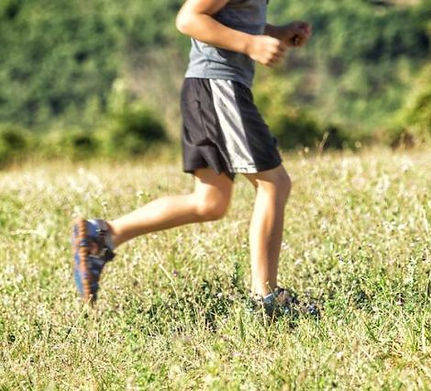 A.L Wellness, accompagnement psychologique TCC et/ou sportif