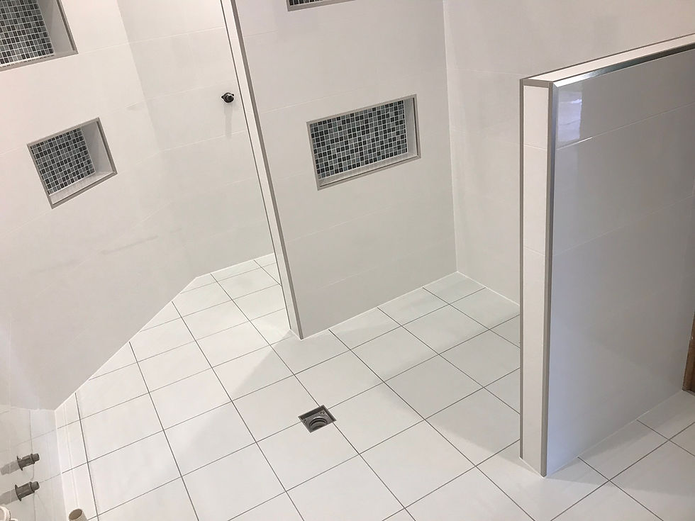 Bathroom renovation