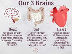 The Real Reason You Can't Think Your Way Out of Stress (It's Not What You Think)