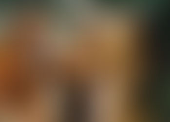 PREPARACIÓN Y ORGANIZACION