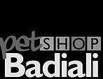 Badiali logo.jpg