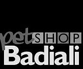 Badiali logo.jpg