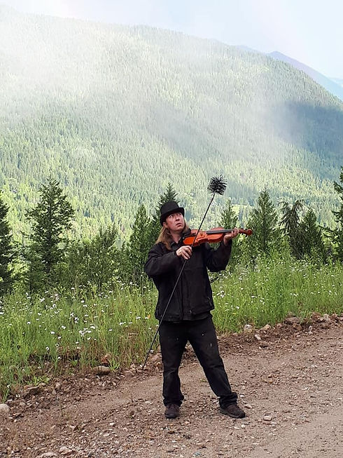 Fiddler 3.jpg