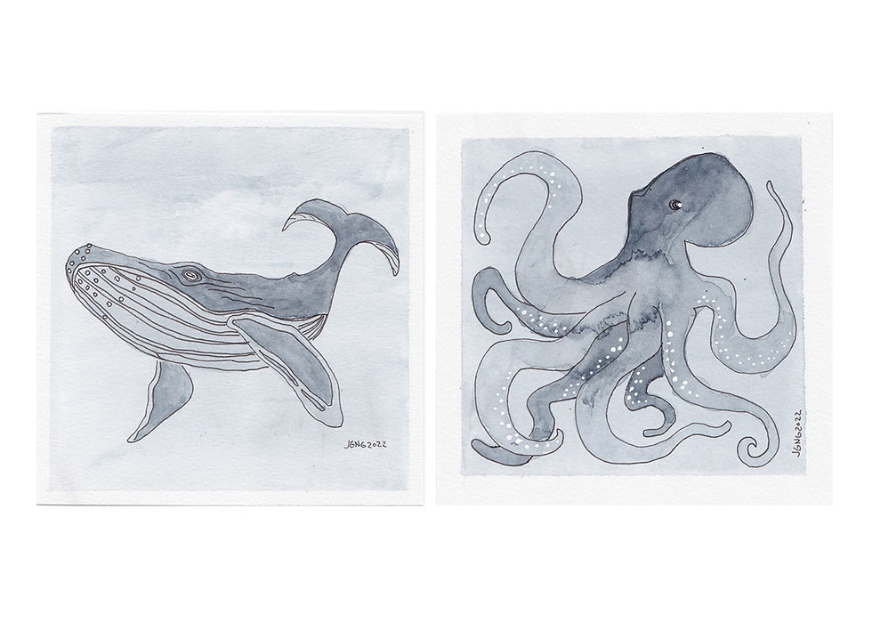 35731237-55e18224-9e60-477c-b513-469ffccf7a48-2-Whale+and+Octopus_Ink+and+Indigo+drawing.j