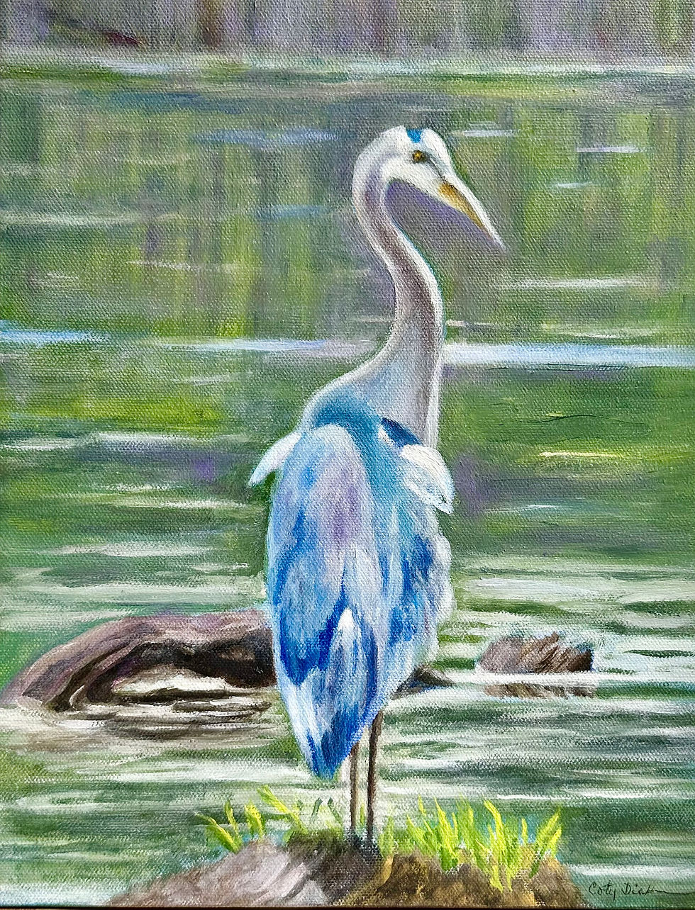 35731237-994d0bcc-8518-4e5c-bb39-9062dee139bc-0-Great_Blue_Heron_Oil.jpg