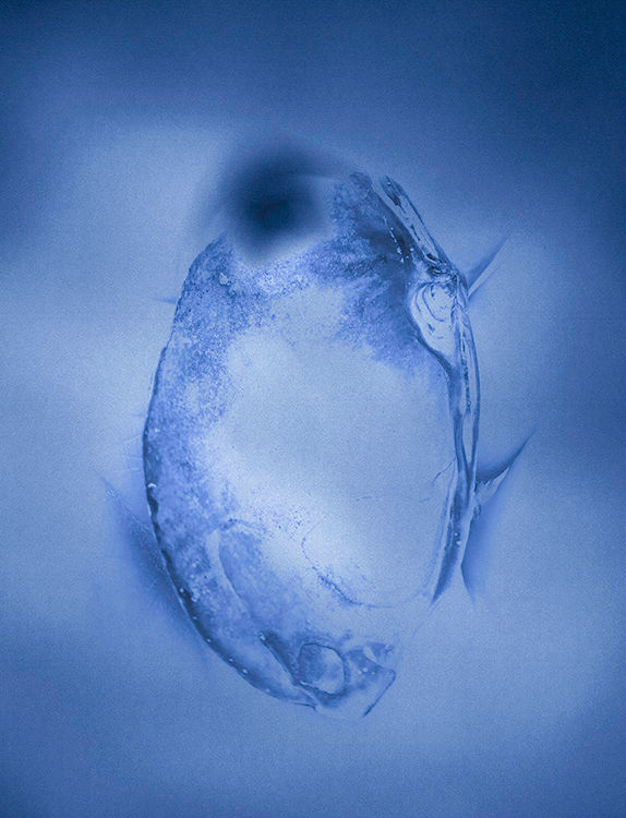 Sennott-01.jpg