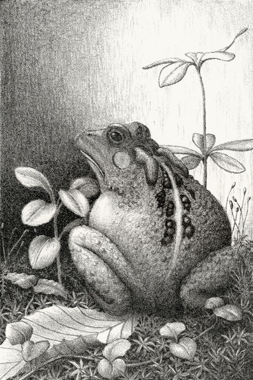 TuthillArt02.jpg