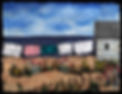 JollesArt03.jpg